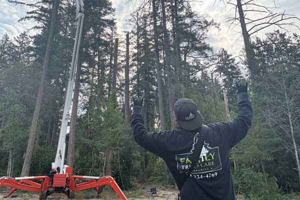 Tacoma Certified Arborist Tacoma Certified Arborist